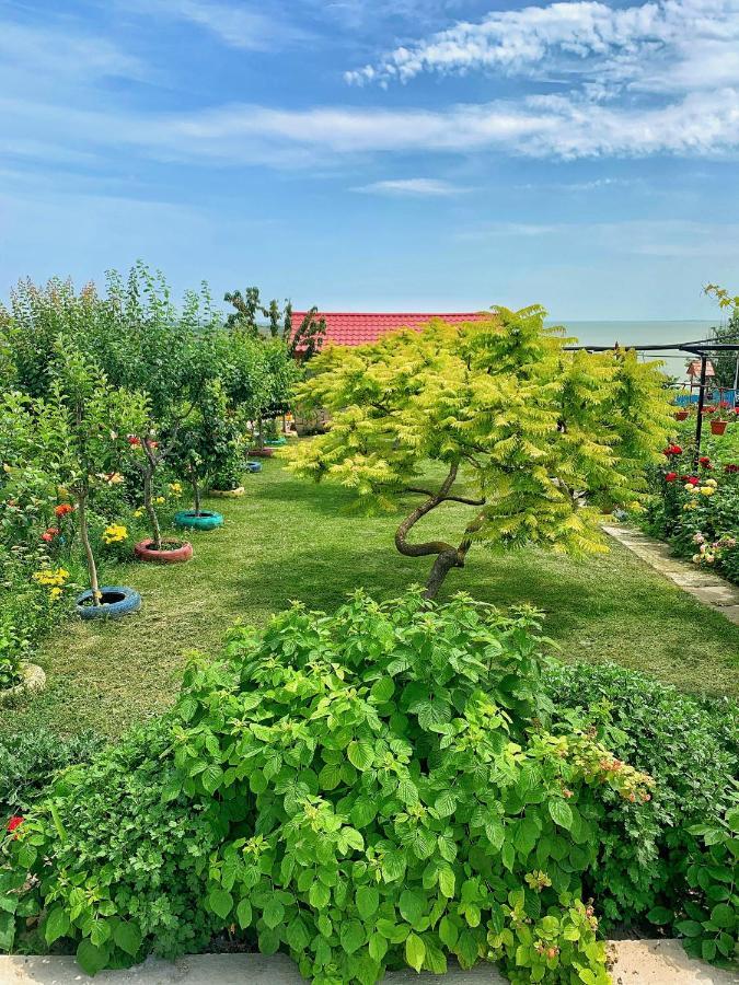 Готель Casa Beluga Sarichioi Екстер'єр фото